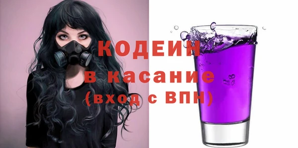 прущие грибы Медвежьегорск
