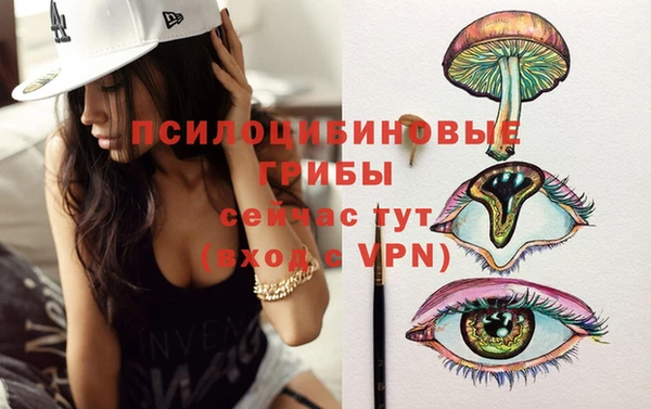 прущие грибы Медвежьегорск