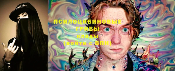 Альфа ПВП Михайловск